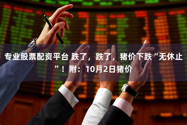 专业股票配资平台 跌了，跌了，猪价下跌“无休止”！附：10月2日猪价