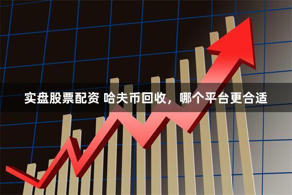 实盘股票配资 哈夫币回收，哪个平台更合适